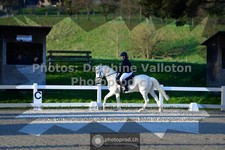ref. photo 3551075