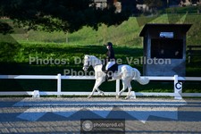 ref. photo 3551076