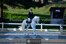 ref. photo 3551078