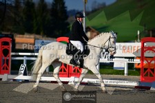 ref. photo 3551080