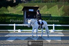 ref. photo 3551089
