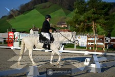 ref. photo 3551094
