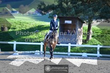 ref. photo 3551101