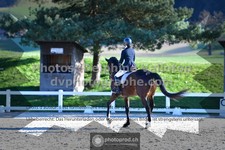 ref. photo 3551106