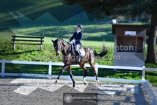 ref. photo 3551108