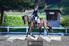ref. photo 3551110