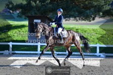 ref. photo 3551111