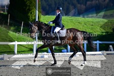 ref. photo 3551112