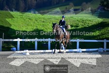 ref. photo 3551114