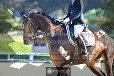 ref. photo 3551116