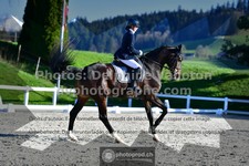 ref. photo 3551117