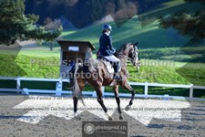 ref. photo 3551118
