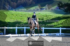 ref. photo 3551119