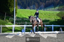 ref. photo 3551120