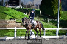 ref. photo 3551121