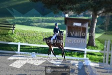 ref. photo 3551126