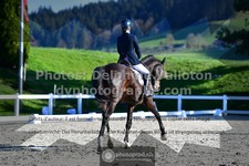 ref. photo 3551128