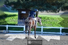 ref. photo 3551130