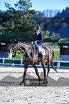 ref. photo 3551135
