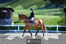 ref. photo 3551138