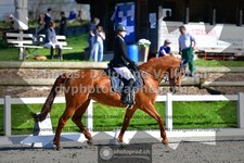 ref. photo 3551154