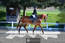 ref. photo 3551172