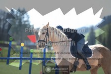 ref. photo 3551182
