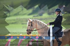 ref. photo 3551185