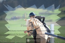 ref. photo 3551186