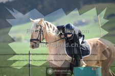 ref. photo 3551187