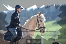 ref. photo 3551188