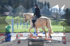 ref. photo 3551189