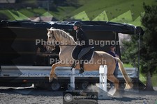 ref. photo 3551197