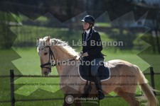 ref. photo 3551198
