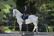 ref. photo 3551199
