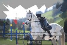 ref. photo 3551201