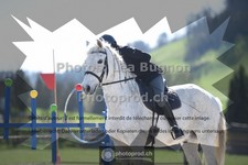 ref. photo 3551202