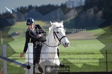 ref. photo 3551205