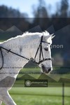 ref. photo 3551206