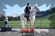 ref. photo 3551209