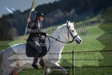 ref. photo 3551211