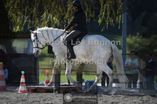 ref. photo 3551215