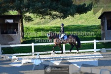 ref. photo 3551232