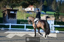 ref. photo 3551234