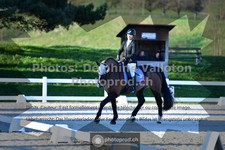 ref. photo 3551236