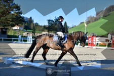 ref. photo 3551237