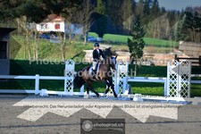ref. photo 3551243