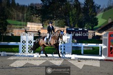 ref. photo 3551244