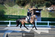 ref. photo 3551248