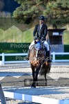ref. photo 3551254